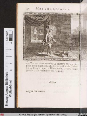 Le Corbeau D´Apollon.