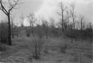 Alte Schanze auf dem Stromberg bei Gröditz. : Hrodźišćo pola wusmužoweje horje pola Wósporka.
