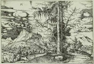 Landschaft mit Fichten
