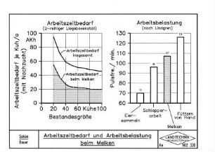Arbeitszeitbedarf und Arbeitsbelastung beim Melken