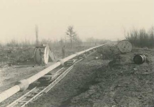 Rheindüker, 1960