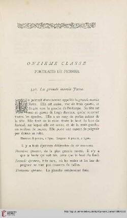 Onzième classe: Portraits de femmes
