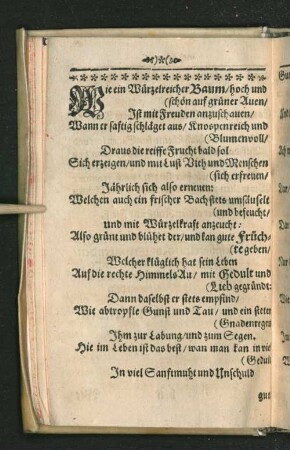 [Beiträger]