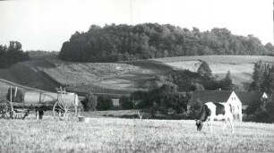 Ostroer Schanze von Norden : Landschaft - Burgwall. Ort: Wotrow / Ostro. Ostroer Schanze von Norden.