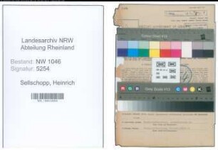 Entnazifizierung Heinrich Sellschopp , geb. 08.04.1903 (Ingenieur)