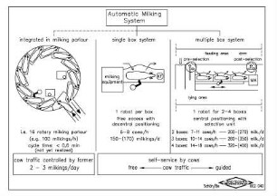 Automatic milking system