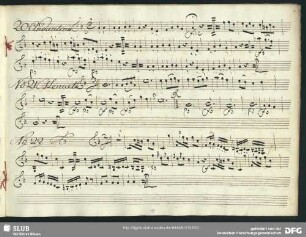 No. 20 Andantino