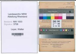 Entnazifizierung Walter Leyer , geb. 24.12.1906 (Angestellter)