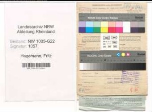 Entnazifizierung Fritz Hegemann , geb. 24.05.1881 (Vertreter)