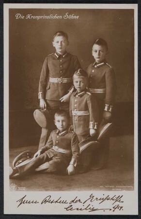 Postkarte "Die Kronprinzlichen Söhne"