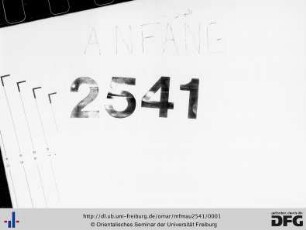 MF Mau 2541