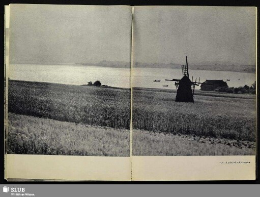 62/63 Landschaft auf dem Mönchgut