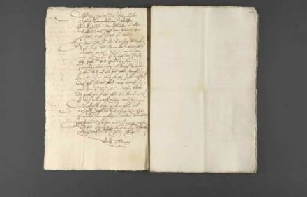 Pfändung des Pfalzgrafen Johann gegen Pfalzgraf Georg Gustav.