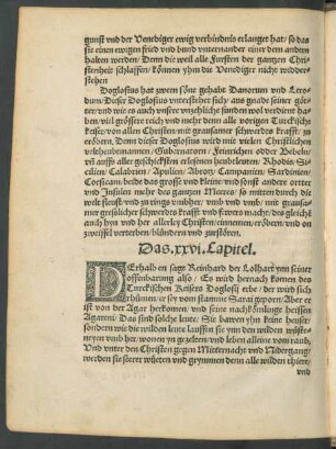 Das .xxvi. Capitel.