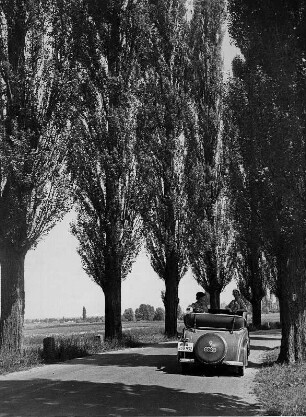 Fahrt des Fotografen im eigenen PKW auf einer Pappelchaussee im Weserland bei Minden