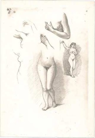 Littmann, Max; Aquarelle, Zeichnungen, Skizzen - Frauenakte (Ansicht, Teilansicht, Details)