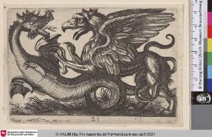 [Kampf zwischen einem Drachen und einem Greif; Dragon and Gryphon Fighting]