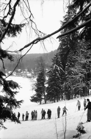 Hinterzarten: Skikurs; Hintergrund Wald