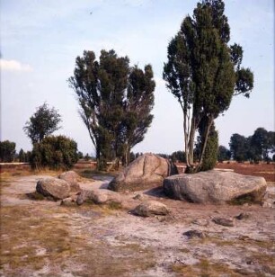 Lüneburger Heide. Vorzeitliches Grab, der Billungstein bei Wilsede (Hannibals Grab)