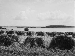 Feld : Abgeerntetes Feld am Rande eines Flusses