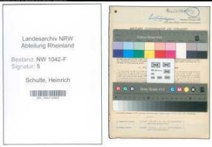Entnazifizierung Heinrich Schulte , geb. 08.01.1899 (Finanzbeamter)
