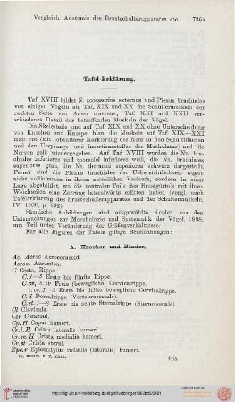 Tafel-Erklärung
