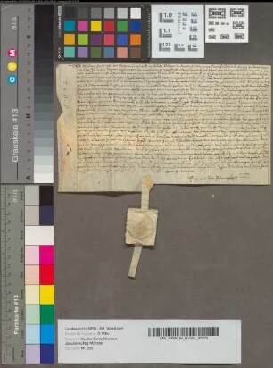 Urkunde, die sich auf die testamentarische Verfügung der virginis Elisabeth Frie (oder Freie) bezieht.