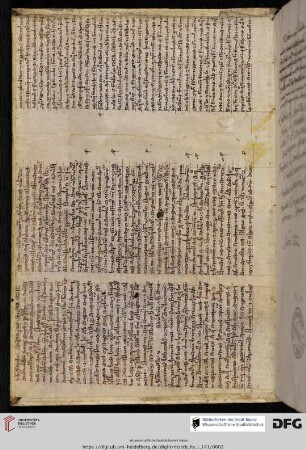 Aus einer Hs. des 13./14. Jh.s.: Grammatisches Glossar