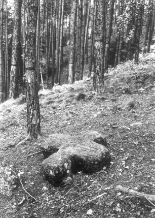 Steinkreuz : Großgraupa, Steinkreuz mit eingeritztem Dolch am Kreuzergrundweg im Borsbergwald