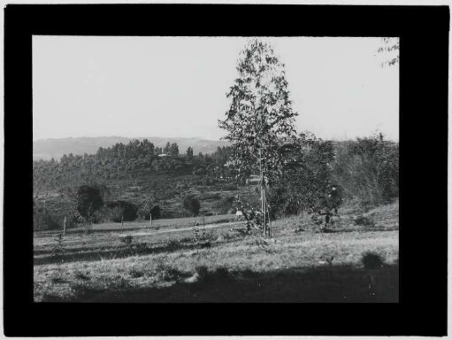 Landschaft