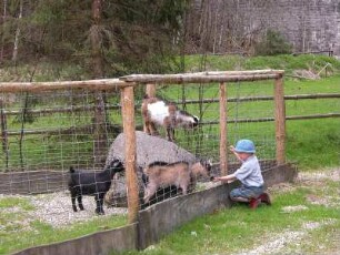 Inzell, Bayern, Tierpark am Schmelzerbach