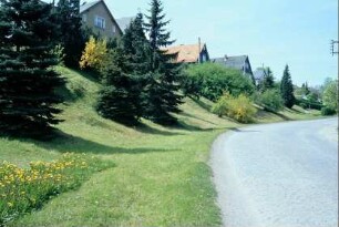 Blick entlang der gepflasterten Dorfstraße, Hang mit Koniferen