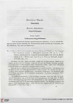 Zweiter Theil: Casuistik