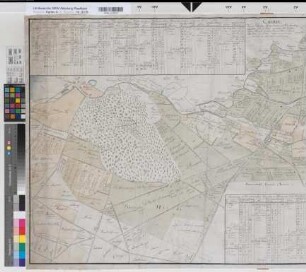 Hörste (Halle) Teilung der Marken: Barlsheide, Voßheide, Tebbenhorst, Riesheide, Großes und Kleines Tiefebruch, Kölkewüste und Südheide 1801 o.M. 70 x 134 kol. Zeichnung Siekendiek kopiert: Mallachowsky Spez.Verz. Markenkarten X Nr. 74