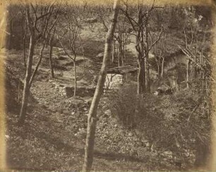 Mittelgrundstudie: Waldinneres: Waldwege