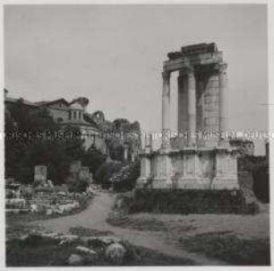 Rom, Forum Romanum, Tempel der Vesta
