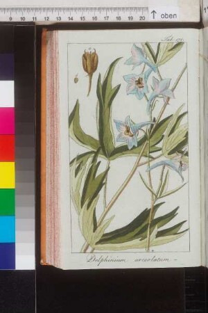 Tab. 171-180