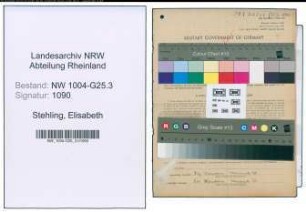 Entnazifizierung Elisabeth Stehling , geb. 28.01.1906 (Kauffrau)