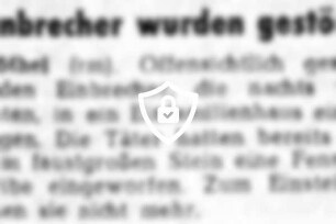 Einbrecher wurde gestört
