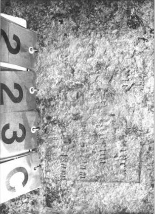 Grabstein 223 (Index: 100009150) Zustand: Rückseite zum größten Teil abgebröckelt Maße HxBxT: 119x62x10 cm: Grabstein 223C