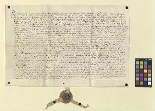 Revers des Friedrich Lehen für sich und für seine Miterben über das ihnen vom Abt des Klosters Fulda Placidus [von Droste] laut seiner im Wortlaut inserierten Urkunde vom selben Tag verliehene Burggut zu Brückenau und die dazu gehörenden Güter in der Sinnau.