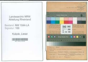 Entnazifizierung Liesel Kulpok , geb. 03.10.1898 (Heimleiterin)