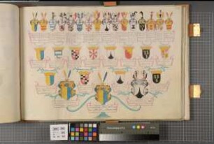 Proband: Plettenberg, August Joseph Graf von; Vater: Plettenberg, Joseph Clemens Graf von; Mutter: Weichs, Maria Theresia von: Westfalen, Hzgtm, Ritterschaft