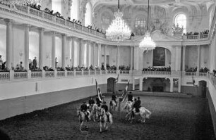 Wien: Spanische Reitschule, Training in der Reithalle
