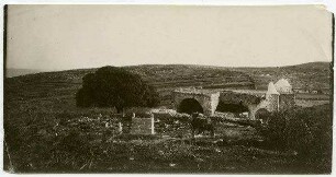 nebi oscha'