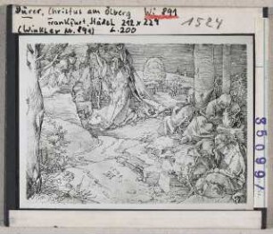 Albrecht Dürer: Christus am Ölberg. Frankfurt, Städel