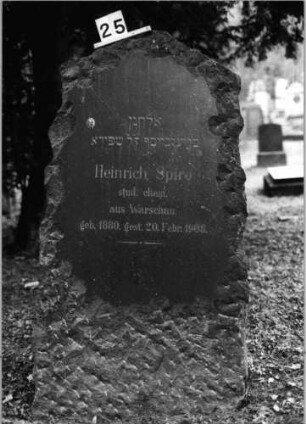 Grabstein 25 (Index: 100092740) Material: Granit Zustand: gut Maße HxBxT: 150x80x33 cm Beschreibung: Stele mit unregelmäßigen Formen, grob behauen, poliertes Schriftfeld: Grabstein 25