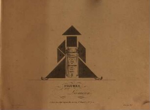 Enigmes chinoises perfectionnées ou l'art de dessiner sans avoir appris