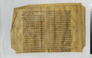 Vita Remigii episcopi Remensis cap. 20-23 : Hinkmar von Reims: Vita Remigii episcopi Remensis. Cap. 22 & 23, Vorderseite (mit Initiale P). Dresden: SLUB Mscr.Dresd.App.147