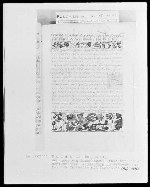Johannes Bugenhagen, Psalmenkommentar — Bordüre mit Beeren, Vogel, Blüten, Putten und einem Bären, der mit einem der Putten tanzt, Folio 129recto